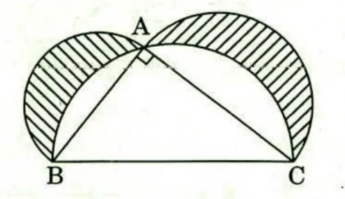 Right-angled triangle ABC with the right angle at A marked by a small square; B is at the bottom left and C at the bottom right, with A above the segment BC. A large semicircle is drawn on BC as diameter, arching upward and enclosing the triangle. Semicircles are also drawn outward on AB and on AC as diameters. The two crescent-shaped lune regions lying inside the semicircles on AB and AC but outside the large semicircle on BC are hatched.