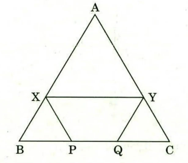 Equilateral triangle ABC with apex A at the top, B at the bottom left and C at the bottom right. X lies on AB and Y lies on AC, with the segment XY drawn parallel to BC. P and Q lie on BC with P to the left of Q. The segment XP is drawn parallel to AC and the segment YQ is drawn parallel to AB, so that XBP and YQC are small triangles and XYQP is a parallelogram.